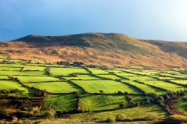 Kerry