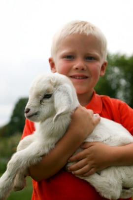 grammar definitions kids grammar definitions kids