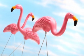 kitsch