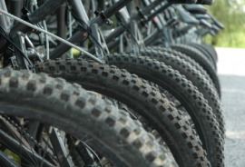 knobby