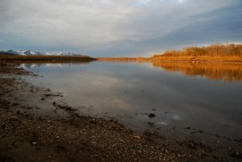Kuskokwim