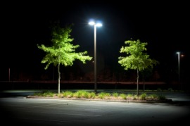 lamplight