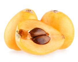 loquat
