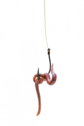 lure