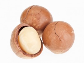 macadamia nut