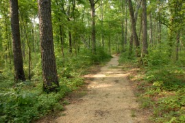 Natchez Trace