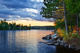 nature