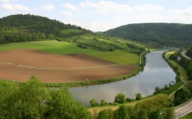 Neckar