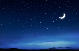 night