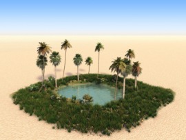 oasis