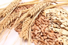 oat