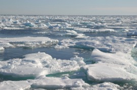 pack ice