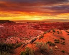 Painted Desert