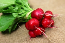 radish