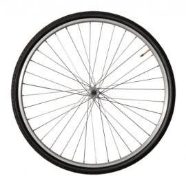 radius