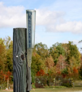 rain gauge