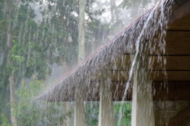 rain