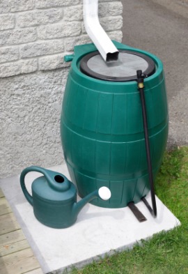 rainwater