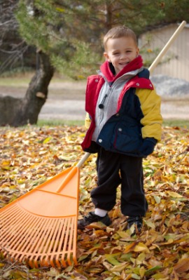 rake
