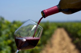red wine