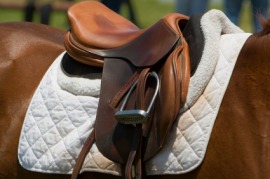 saddle