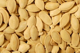seed coat