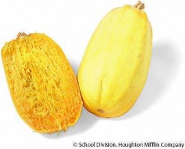 spaghetti squash