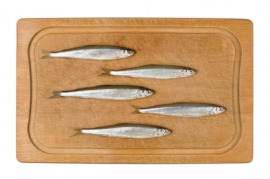 sprat