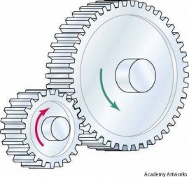 spur gear