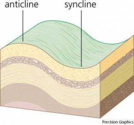 syncline