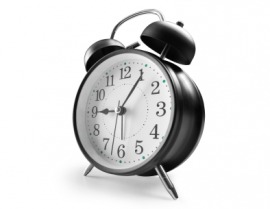 tick
