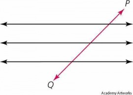 transversal