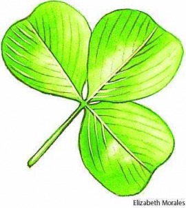 trifoliate