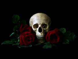 vanitas