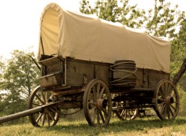 wagon