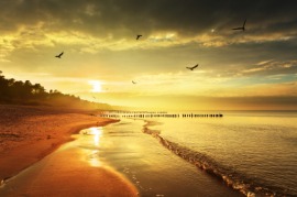 waterscape