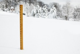 yardstick