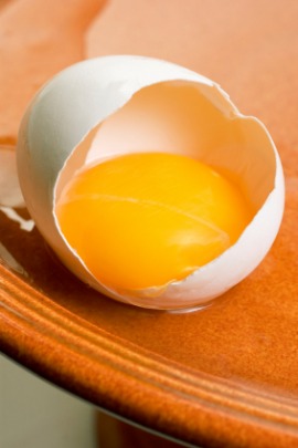 yolk