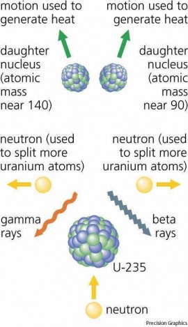fission
