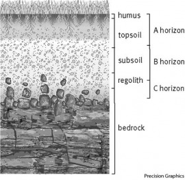 ABC soil