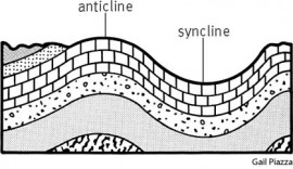 anticline