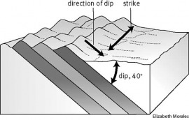 dip