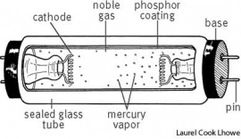 fluorescent lamp