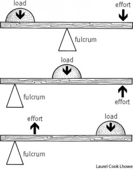 fulcrum