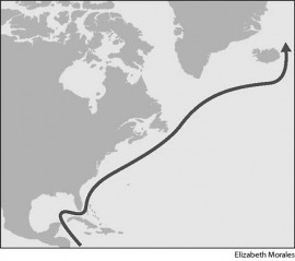 Gulf Stream
