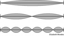 harmonic