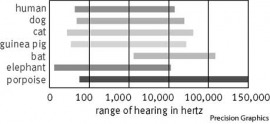 hertz