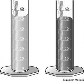 meniscus
