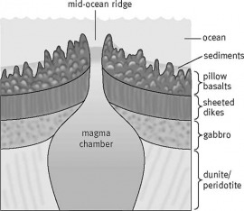 ophiolite suite