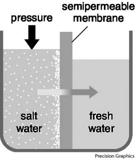 reverse osmosis